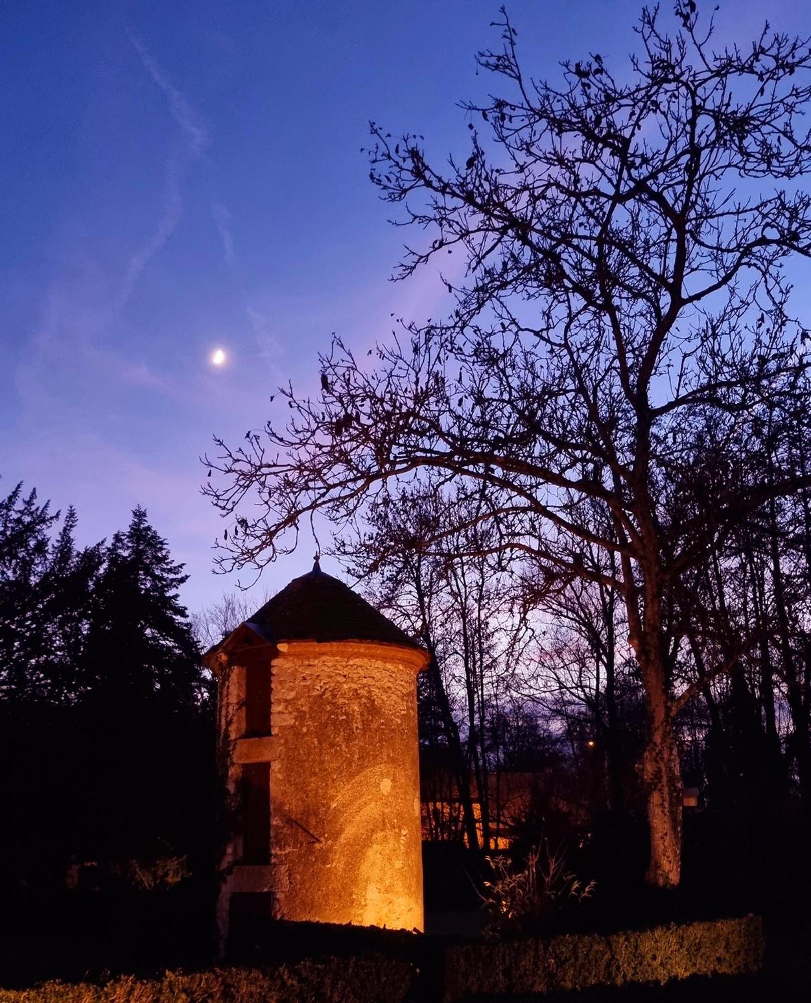 Chateau De Bonneau Suevres ภายนอก รูปภาพ