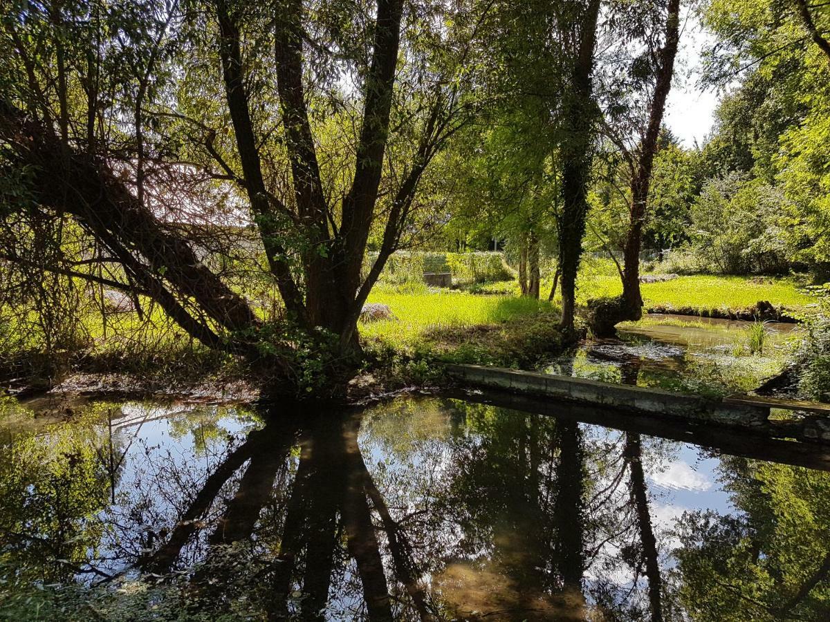 Chateau De Bonneau Suevres ภายนอก รูปภาพ